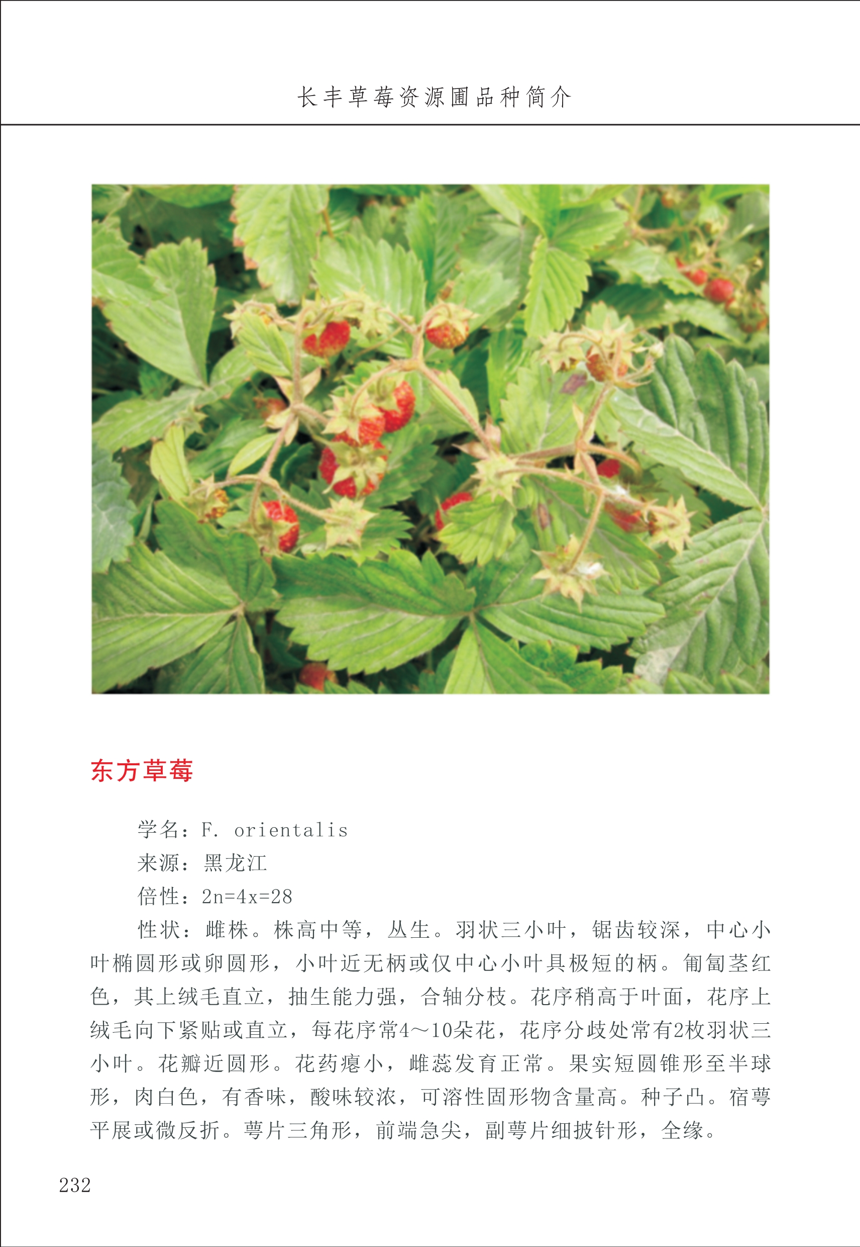 長(cháng)丰农技中心3_32.jpg