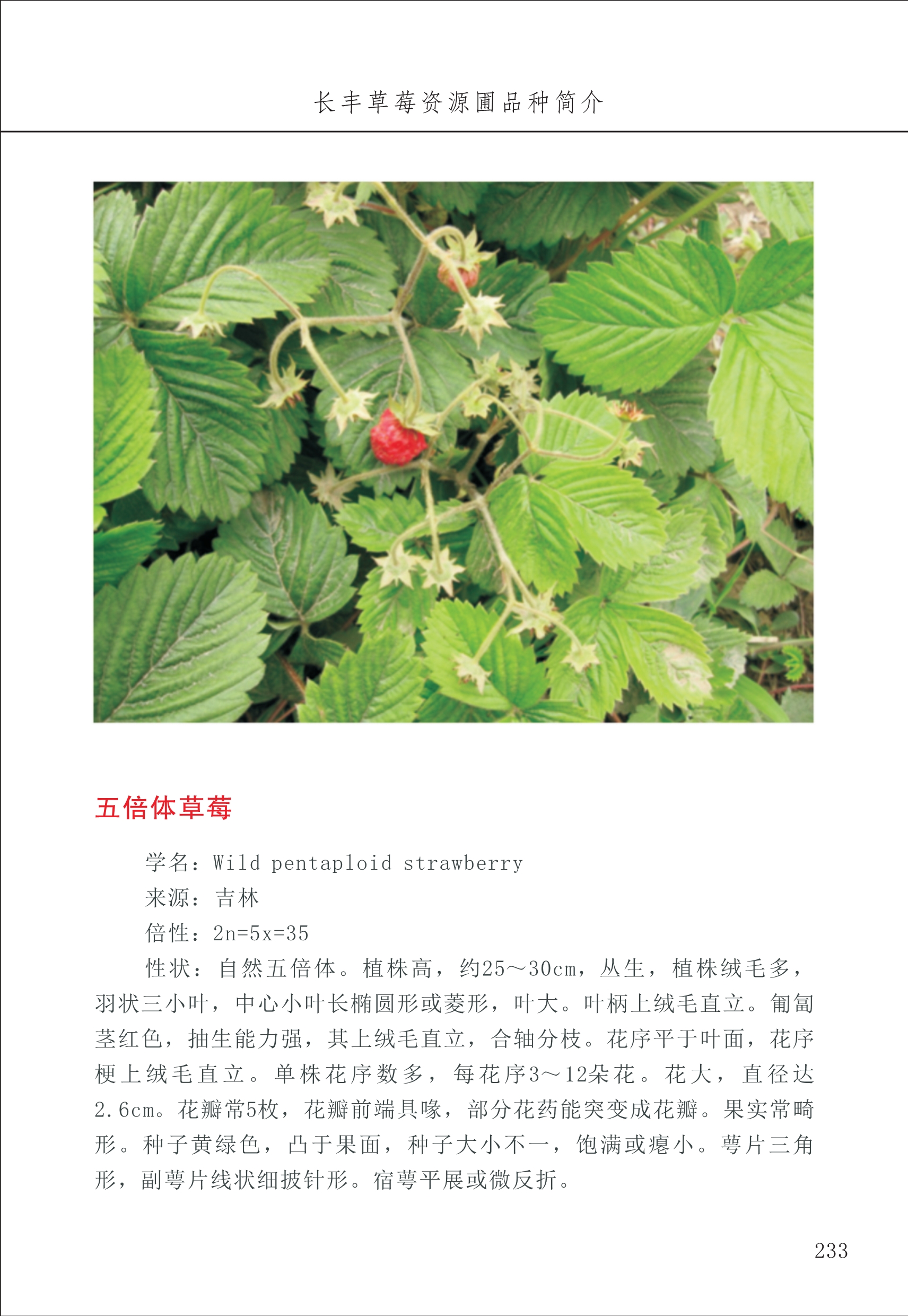 長(cháng)丰农技中心3_33.jpg