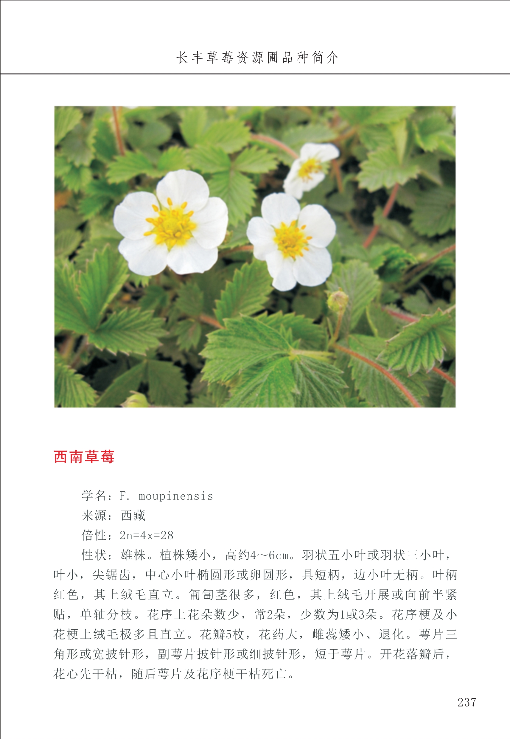 長(cháng)丰农技中心3_37.jpg