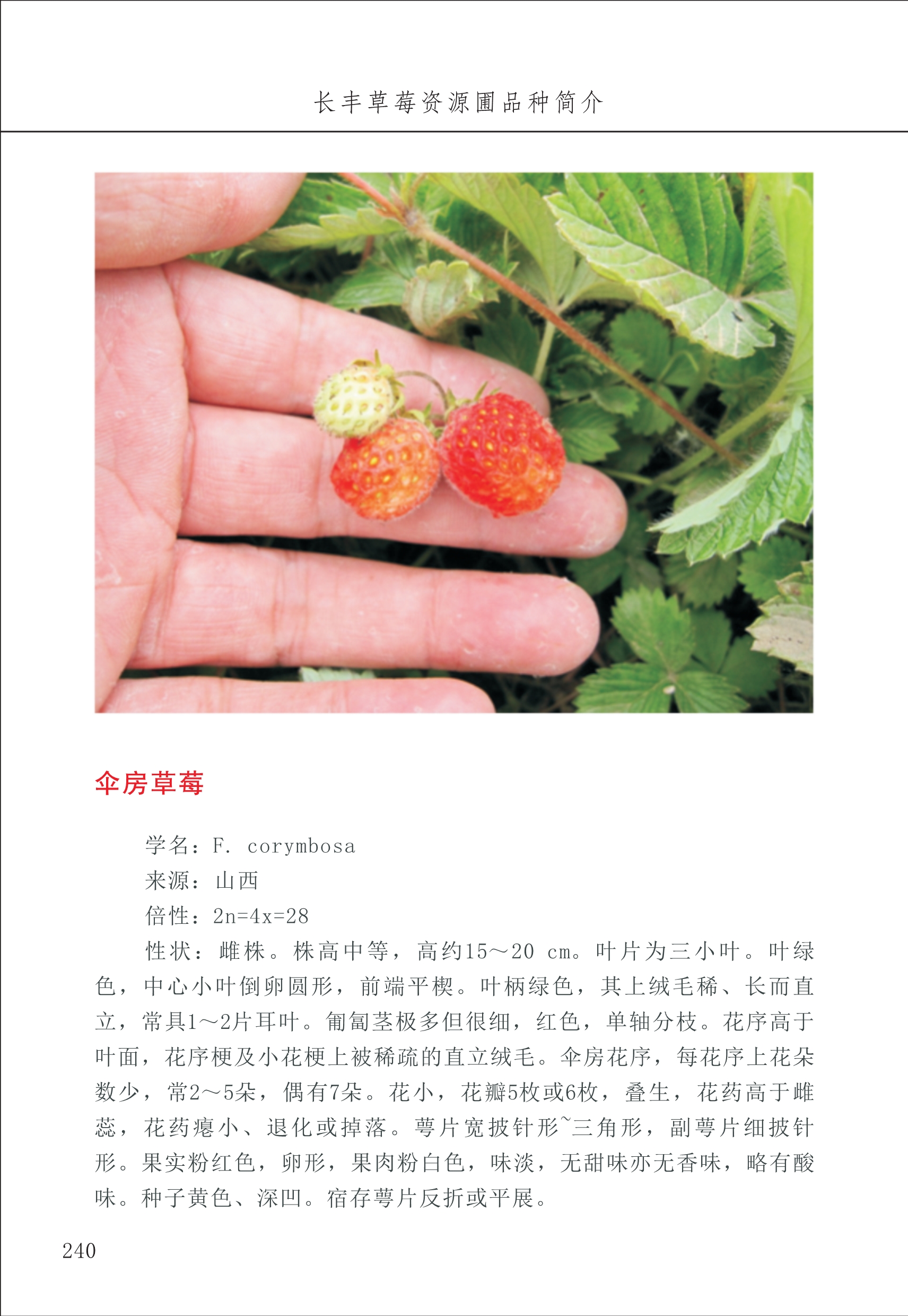 長(cháng)丰农技中心3_40.jpg