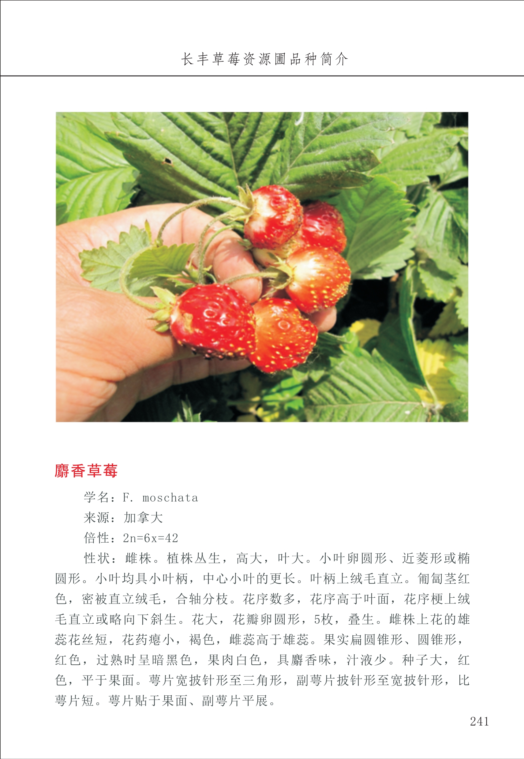 長(cháng)丰农技中心3_41.jpg