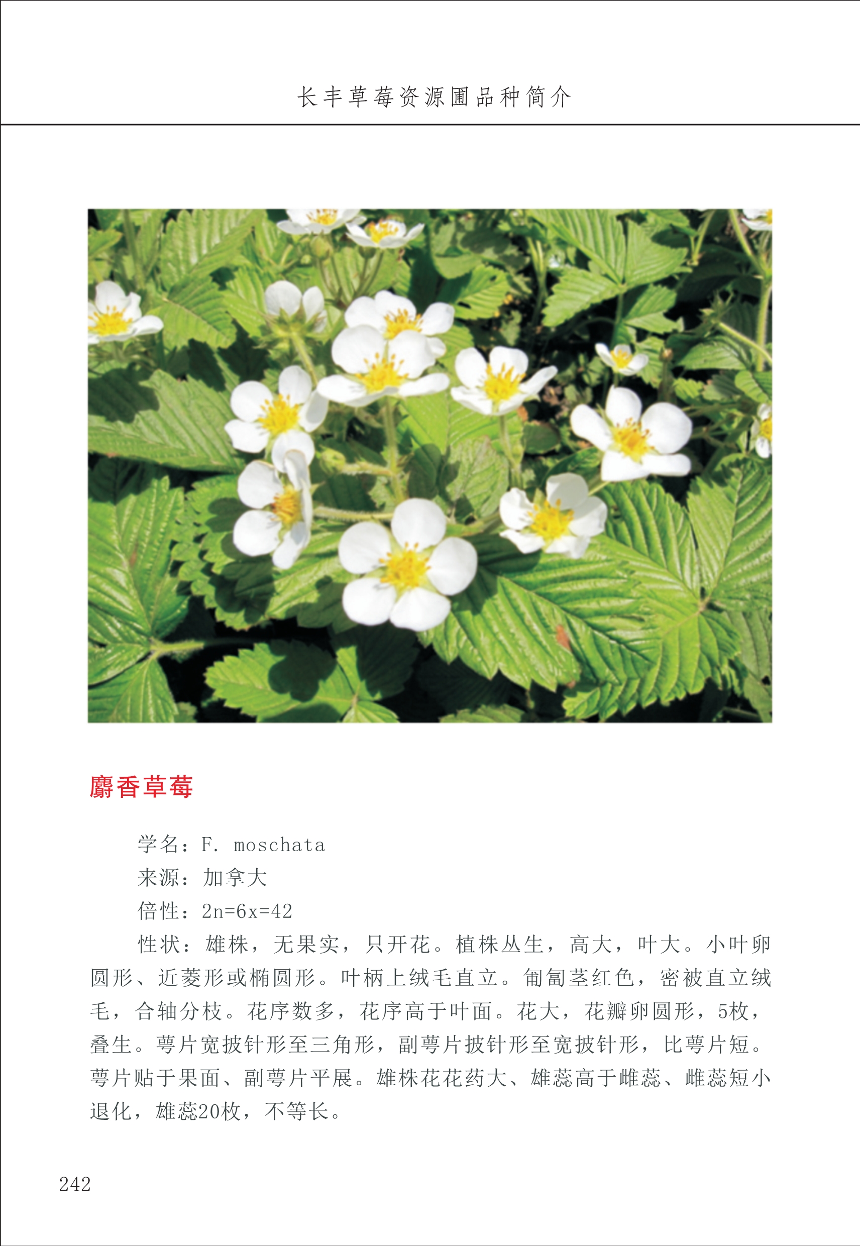 長(cháng)丰农技中心3_42.jpg