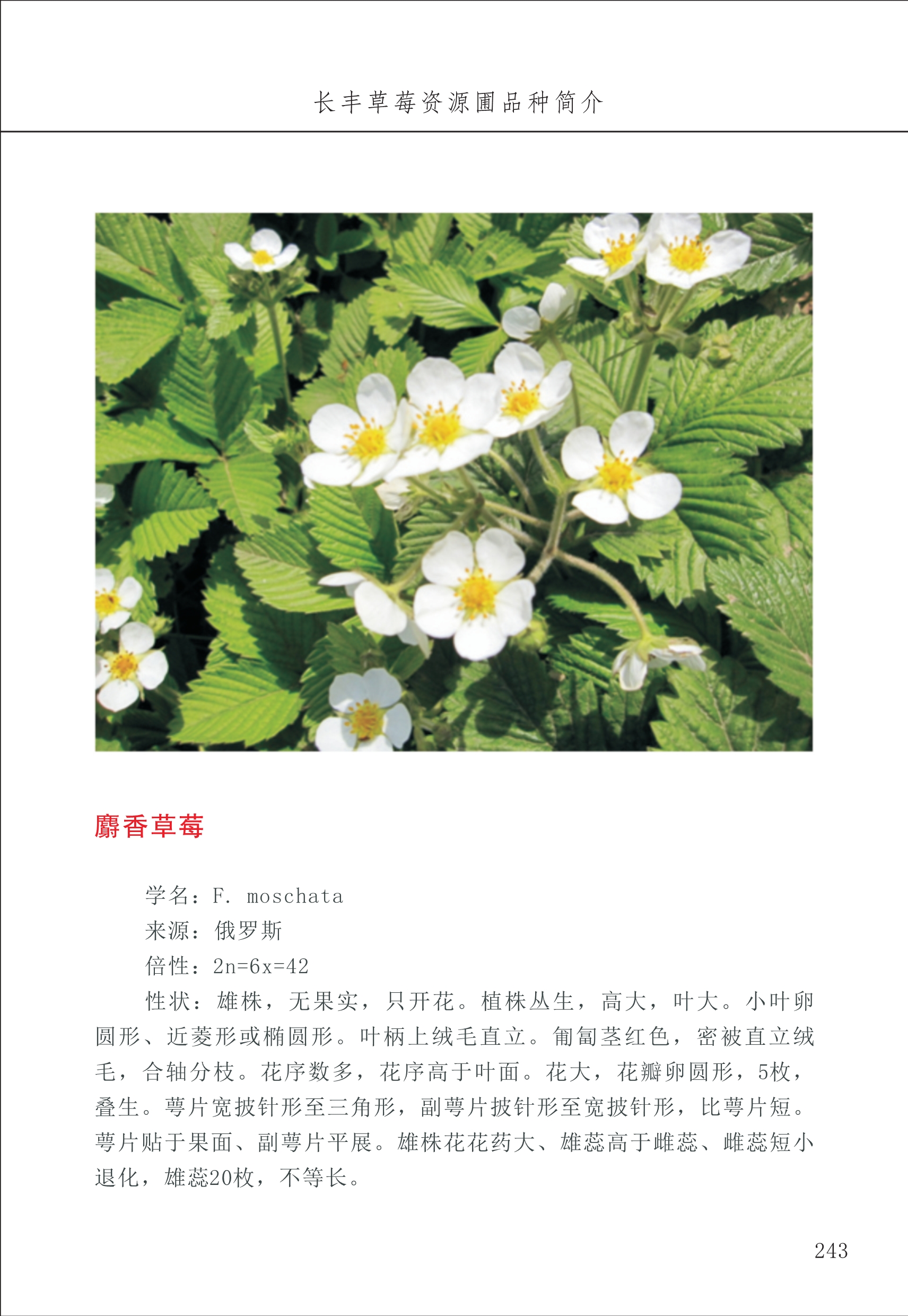 長(cháng)丰农技中心3_43.jpg