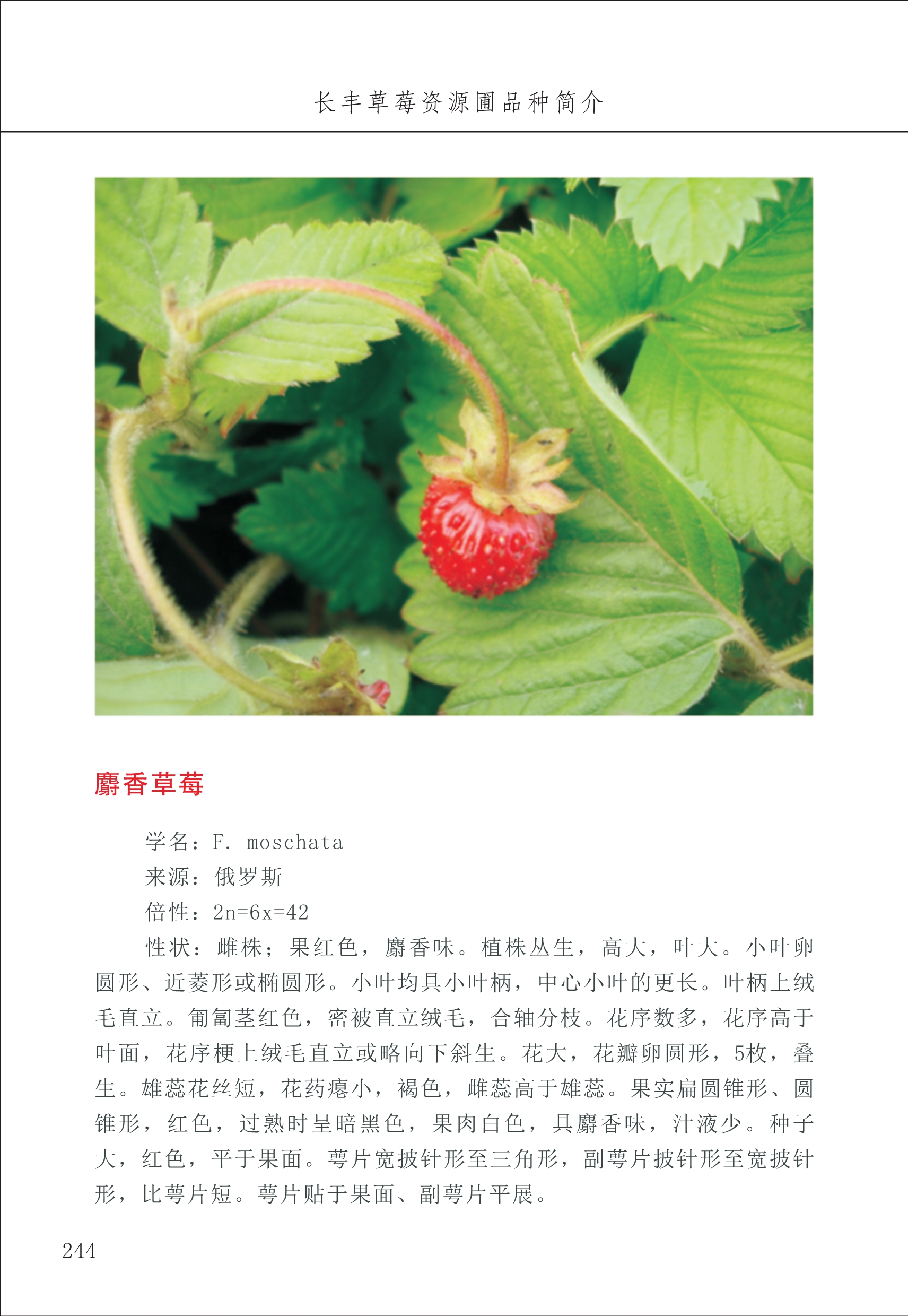 長(cháng)丰农技中心3_44.jpg