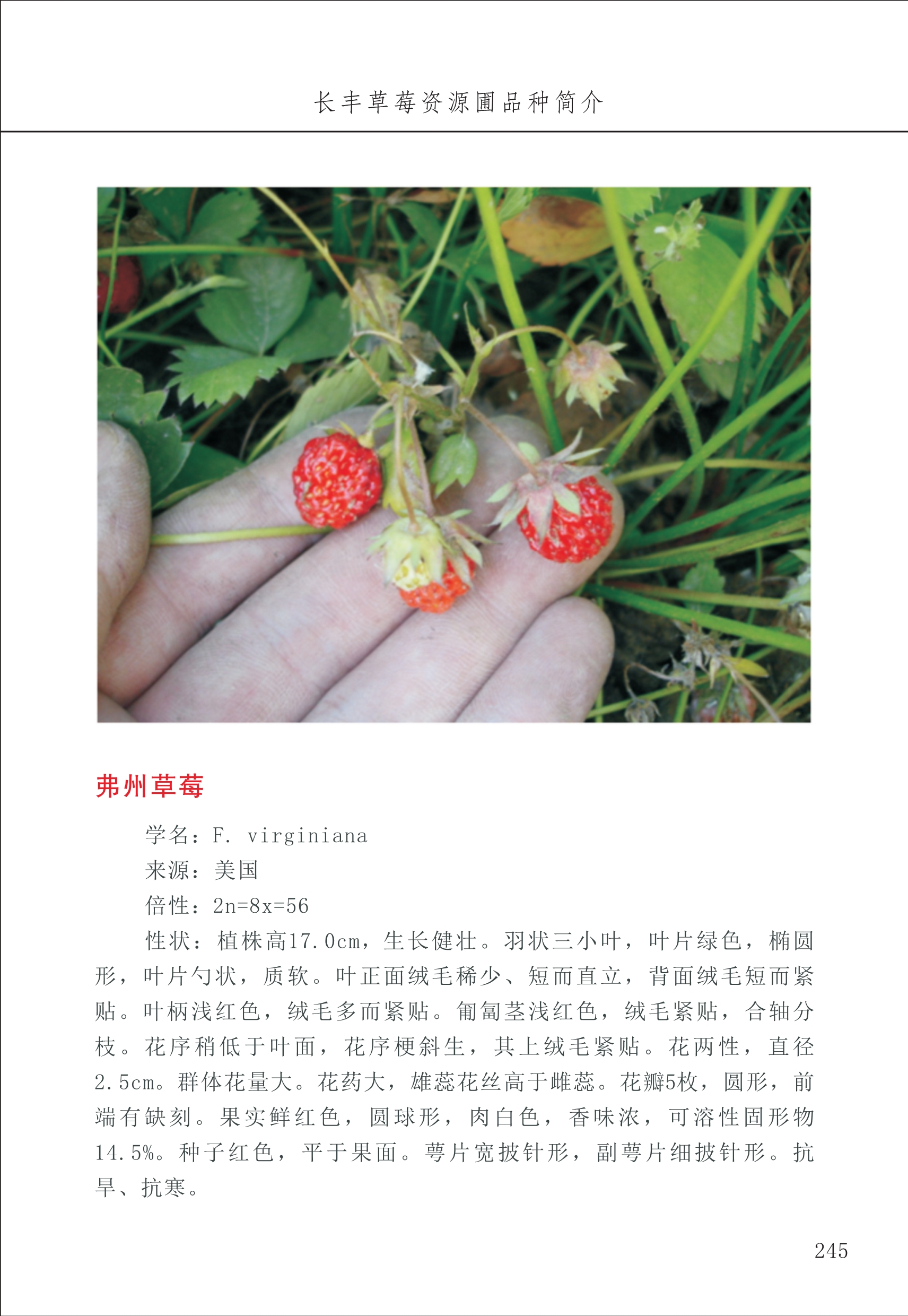 長(cháng)丰农技中心3_45.jpg