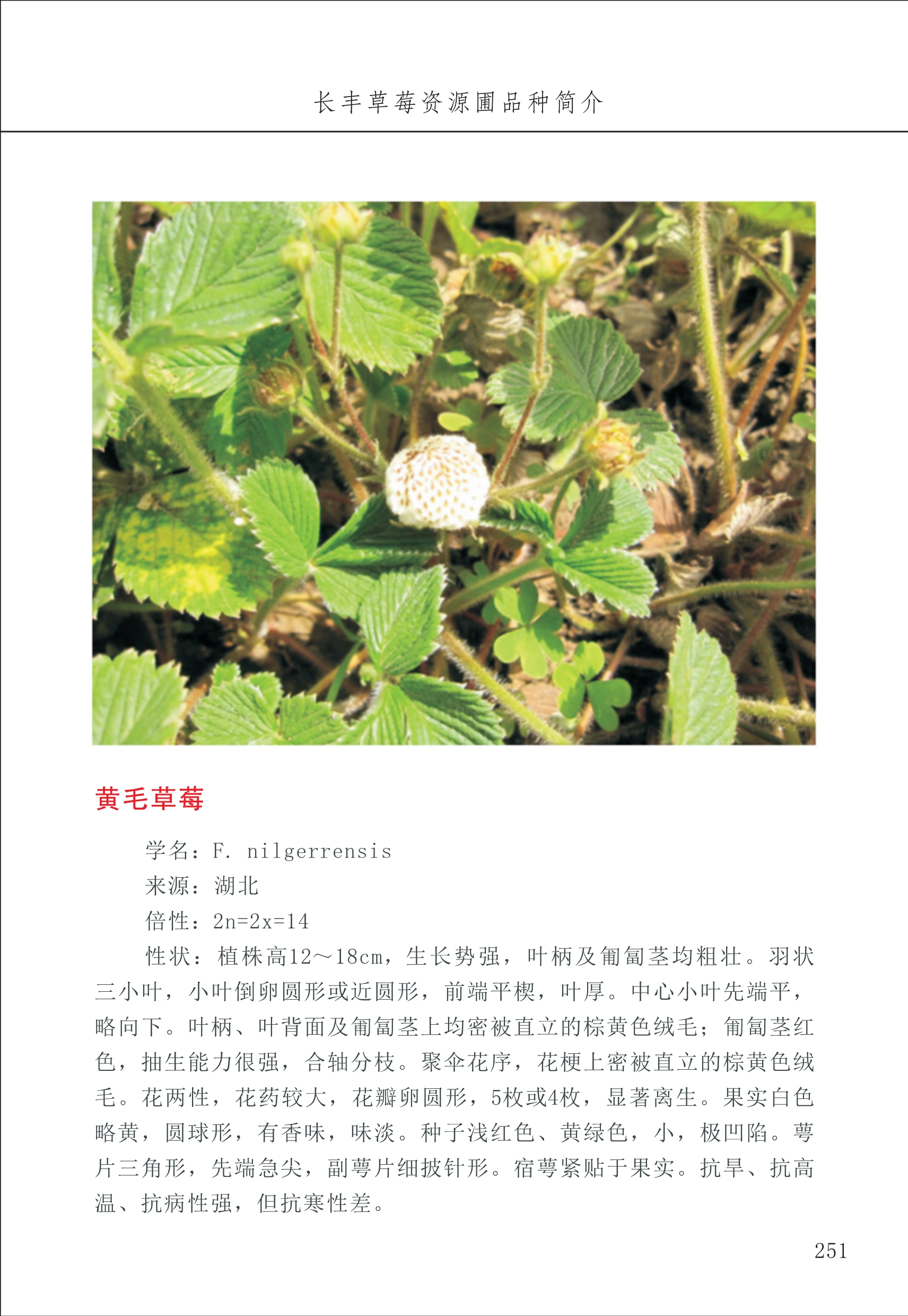 長(cháng)丰农技中心3_51.jpg