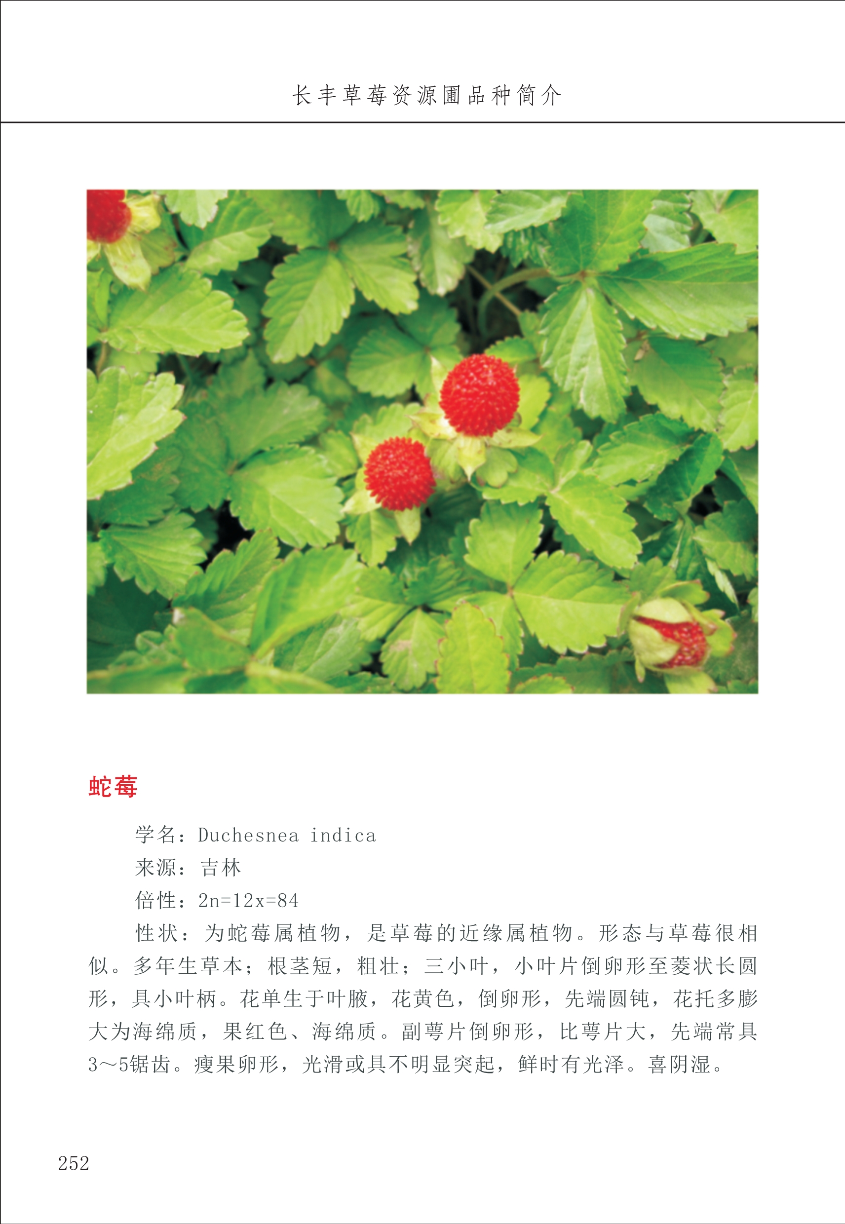 長(cháng)丰农技中心3_52.jpg