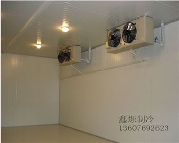 建造中冷庫(kù)門安裝有哪些小技巧呢？